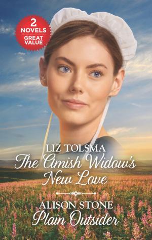 bigCover of the book The Amish Widow's New Love and Plain Outsider by 