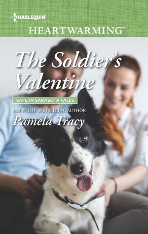 Cover of the book The Soldier's Valentine by Jillian Burns