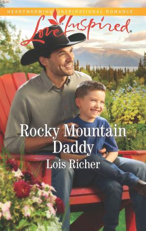 Cover of the book Rocky Mountain Daddy by VJ Erickson