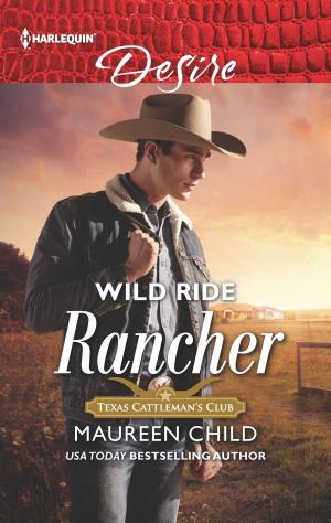 Cover of the book Wild Ride Rancher by Raye Morgan