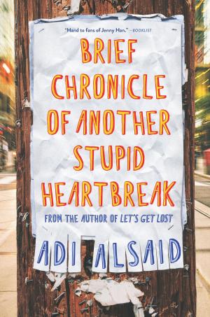 Cover of the book Brief Chronicle of Another Stupid Heartbreak by Abigail Johnson