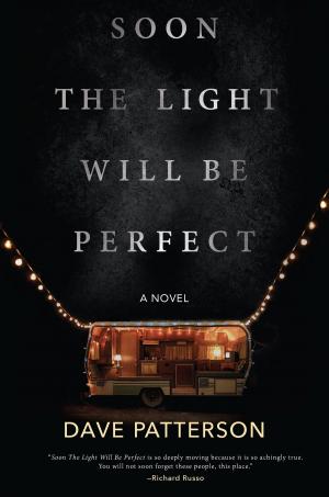 Cover of the book Soon the Light Will Be Perfect by Chris McGeorge
