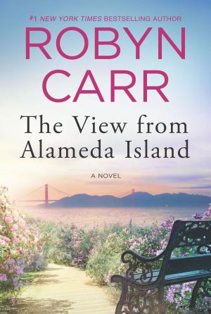 bigCover of the book The View from Alameda Island by 