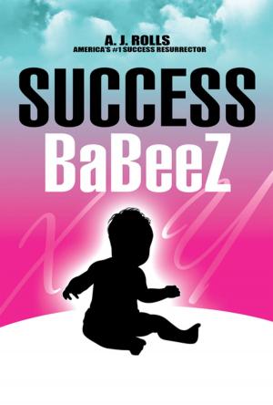 Book cover of Success Babeez