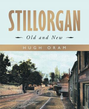 bigCover of the book Stillorgan by 