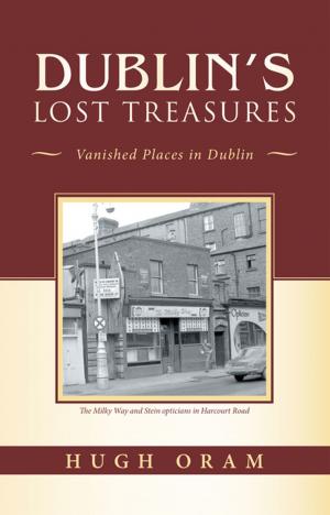 Cover of the book Dublin’s Lost Treasures by Ian Platt