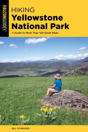 Cover of the book Hiking Yellowstone National Park by Dennis Lewon