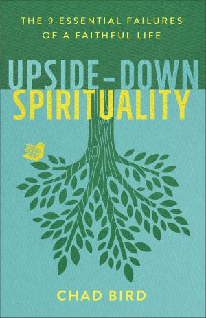 Cover of the book Upside-Down Spirituality by Kevin Johnson, Jane Kise, Karen Eilers