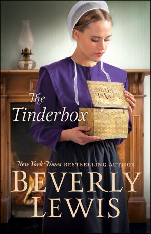 Book cover of The Tinderbox