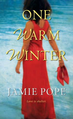 Cover of the book One Warm Winter by Akita StarFire