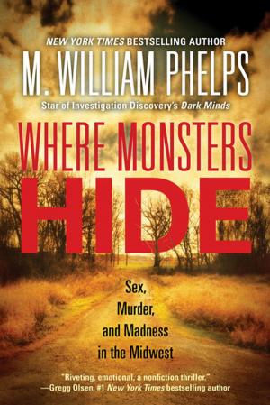 Cover of the book Where Monsters Hide by Leslie Meier