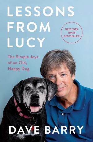 Book cover of Lessons From Lucy