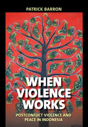 Cover of the book When Violence Works by John M. Dixon