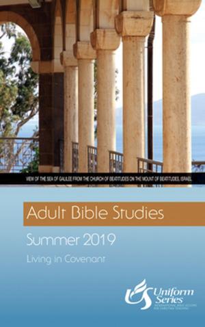 Cover of Adult Bible Studies Summer 2019 Student [Large Print]