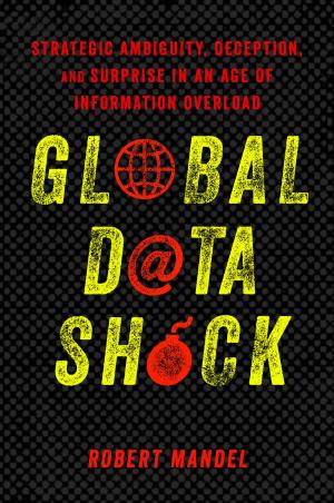 Cover of the book Global Data Shock by Jody Hoffer Gittell