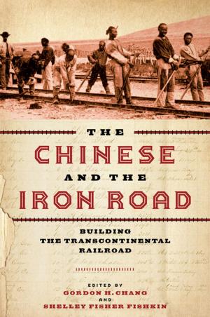Cover of the book The Chinese and the Iron Road by Isaac Martin, Christopher Niedt