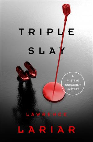 bigCover of the book Triple Slay by 