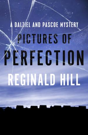 Cover of the book Pictures of Perfection by Tim Heald