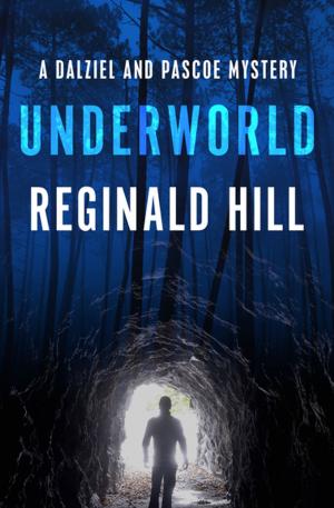 Cover of the book Underworld by John Crawley