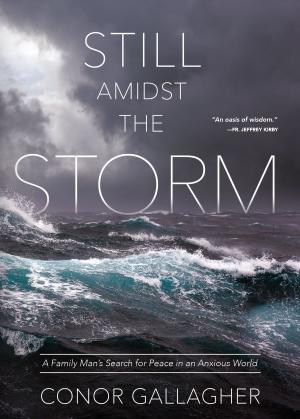 Cover of the book Still Amidst the Storm by Rev. Fr. Jeremias Drexelius S.J.