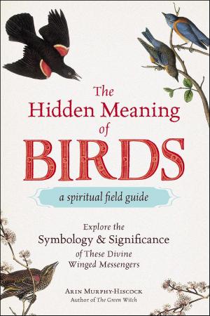 Cover of the book The Hidden Meaning of Birds--A Spiritual Field Guide by Martin Stephens