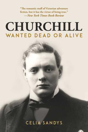 Cover of the book Churchill by John Trout Jr.