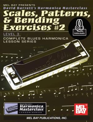 Cover of the book Scales, Patterns, & Bending Exercises #2 by Steve Baughman