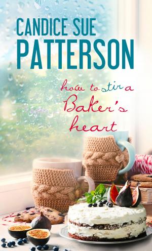 bigCover of the book How to Stir a Baker's Heart by 