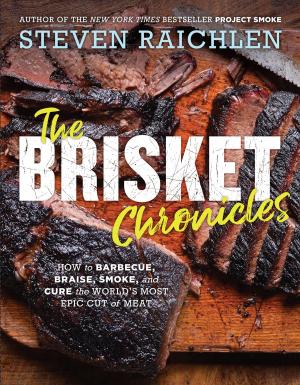 Cover of the book The Brisket Chronicles by Larry Berger, Michael Colton, Manek Mistry, Paul Rossi, Samantha Bindner