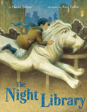 Cover of the book The Night Library by Stan Berenstain