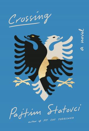 Cover of the book Crossing by Susanna de Vries