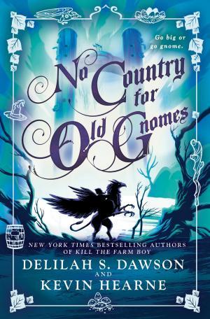 Cover of the book No Country for Old Gnomes by Nicole Jordan
