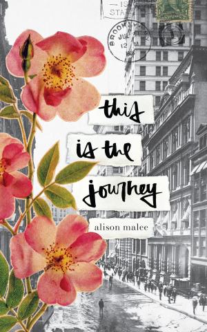 Cover of the book This Is the Journey by Alice Bergeron