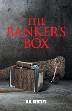 Cover of the book The Banker's Box by Delfryn R. Hughes