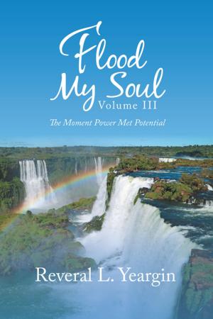 Cover of the book Flood My Soul Volume Iii by Dana Wilson