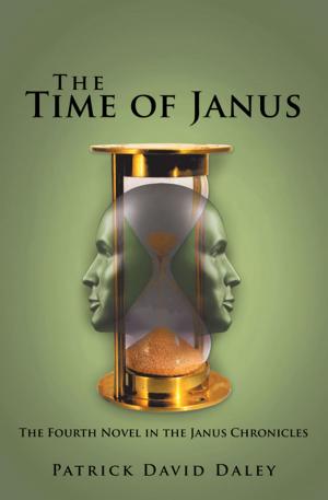 Book cover of The Time of Janus