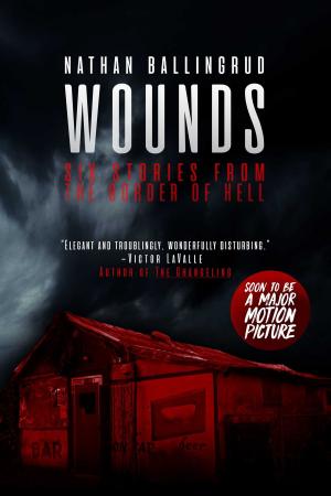 Cover of the book Wounds by Tom Morris