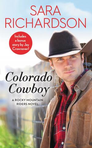 Cover of the book Colorado Cowboy by Elizabeth Hoyt
