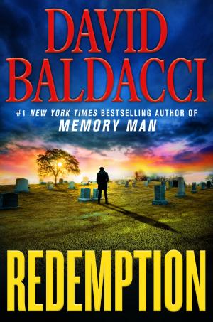 Cover of the book Redemption by Barbara Treat Williams