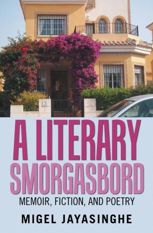 Cover of the book A Literary Smorgasbord by Embaye Melekin