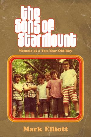 Book cover of The Sons of Starmount