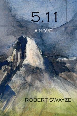 Cover of the book 5.11 by Professor Aidan Moran