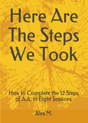 Cover of Here Are The Steps We Took