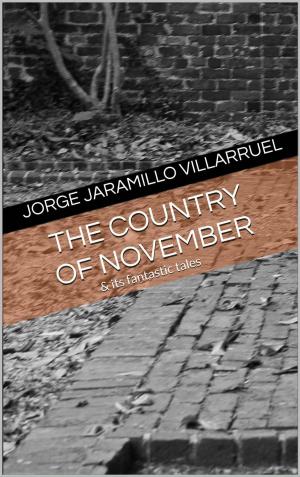bigCover of the book The Country of November by 