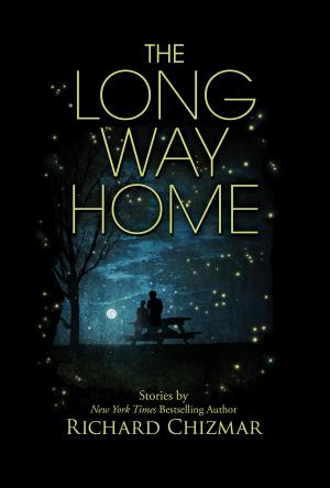 Cover of the book The Long Way Home by Norman Prentiss