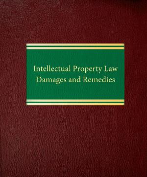 Cover of the book Intellectual Property Law: Damages and Remedies by Ralph C. Ferrara