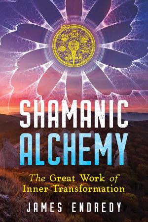 Book cover of Shamanic Alchemy