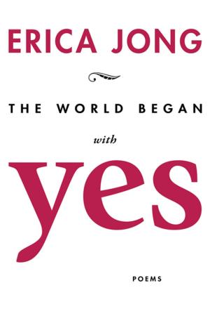 Book cover of The World Began With Yes