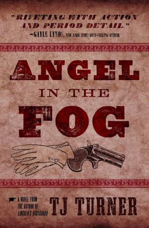 Cover of the book Angel in the Fog by TJ Turner