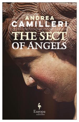 Cover of the book The Sect of Angels by David Coventry